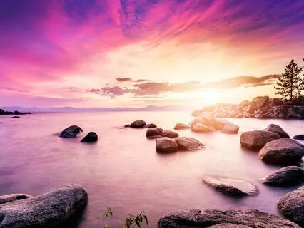 Calm Oasis: Stress Relief Music