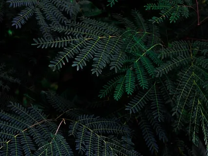 Calm Obsessive Thoughts For Sleep