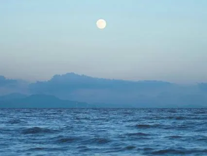 Calm Ocean Waves For Sleep And Deep Rest - 8 Hours