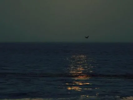 Calm Ocean Waves Restorative Sleep (Slowed + Quiet)