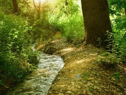 Calm Piano And Gentle Stream - 20 Minutes