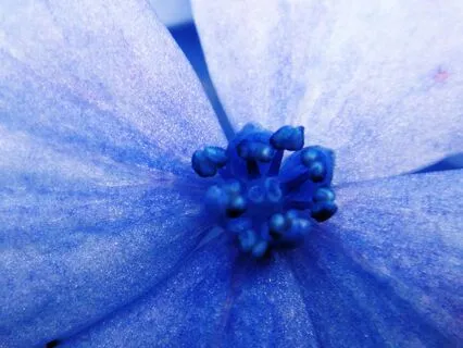 Calm Piano For Easy Relaxation