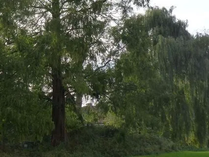 Calm Piano For Reflection And Relaxation - Evening Pondering