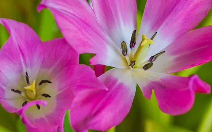 Calm Piano Music To Relax