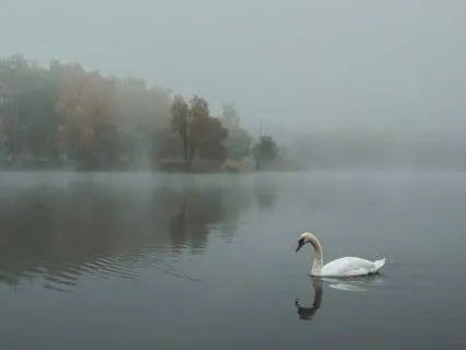 Calm Place Guided Visualization