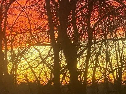 Calm Place Meditation