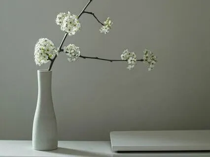 Calm Presence  - Ultimate Spa, Reiki, Massage & Healing Calm