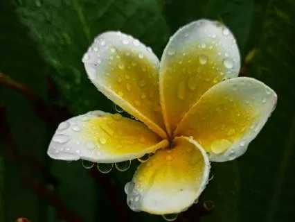 Calm Rain Sounds For Restful Sleep