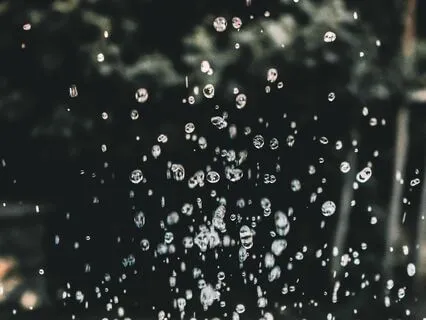 Calm Reflections In The Evening Rain