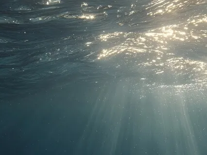 Calm, Resilience, And Emotional Strength