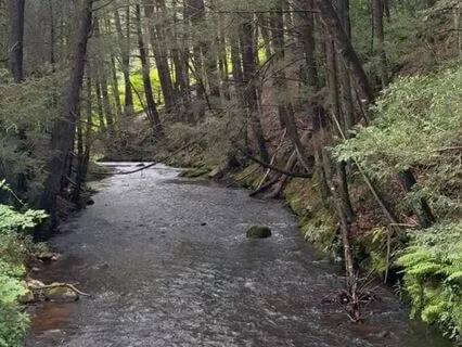 Calm River Meditation: Healing And Calmness