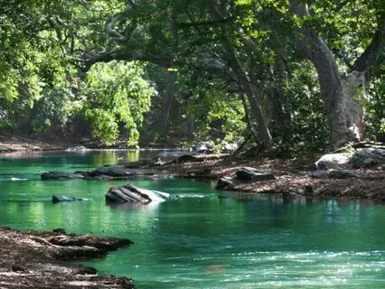 Calm River Reflections