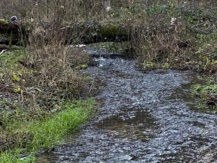 Calm River Soundscape