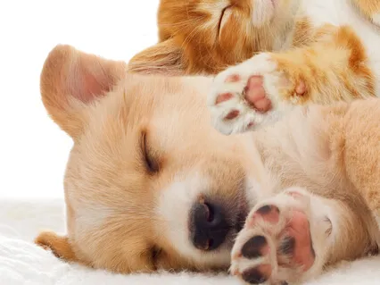 Calm, Safe, Soothing Lullaby