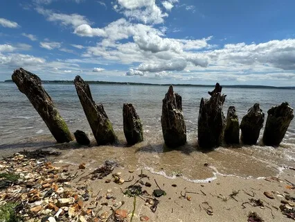 Calm Shores: Peaceful Ocean Waves For Relaxation And Sleep