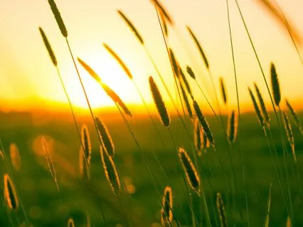 Calm Sleep Music - Setting Sun