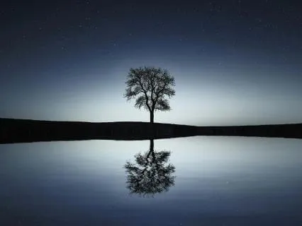 Calm Sleep Relaxation With Rain Sounds (10hr Edition)