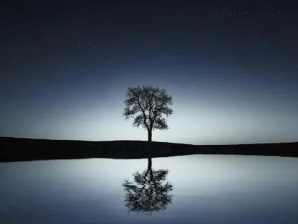 Calm Sleep Relaxation With Rain Sounds