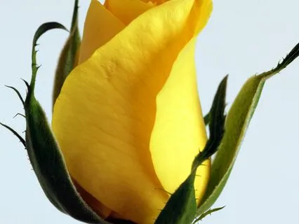 Calm Start: Morning Anxiety Relief