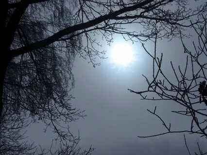 Calm | Steady Sound Sleep Aid | Beyond White Noise