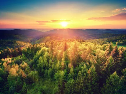 Calm Symphonic Meditation