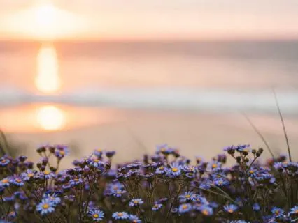 Calm The Chaos Yin Yoga