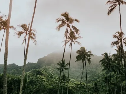 Calm The Mind And Stop Overthinking (528Hz)