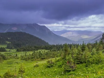 Calm The Mind, Ground The Body: Connect With Mother Earth