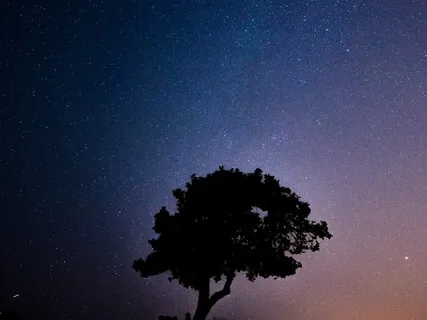 Calm The Mind: Relaxation & Grounding 