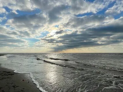 Calm The Mind, Rest The Body: Ocean Yoga Nidra