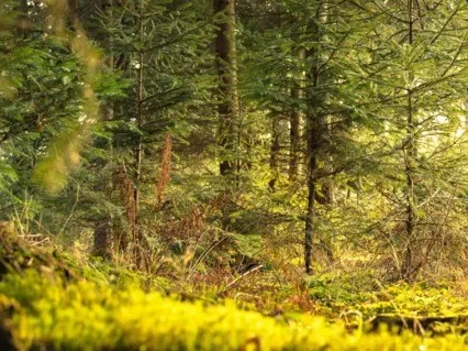  Calm The Mind, Soul And Body With 432 HZ