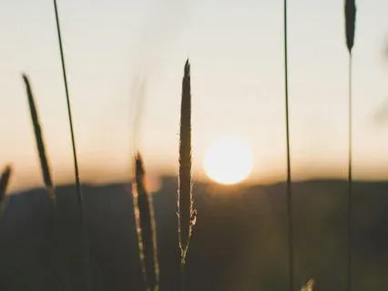 Alternate Nostril Breathing For Calm (Nadi Shodana)
