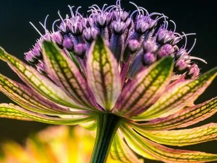 Calm The Nervous System Through Grounding (No Music)