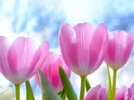 Calm The Nervous System Through Positive Self-Talk