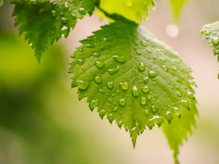 Calm The Nervous System Through The Breath (No Music)