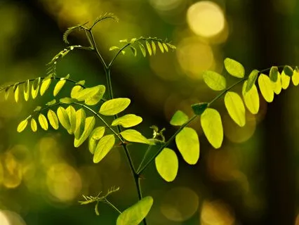 Calm The Nervous System Through The Breath