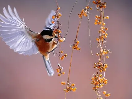 Calm The Nervous System Through Slowing The Breath