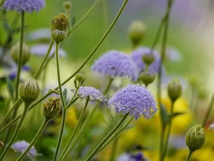 Calm The Nervous System Through The Here And Now (No Music)