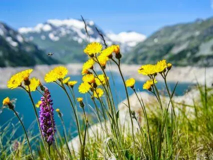 Calm The Nervous System Through The Here And Now