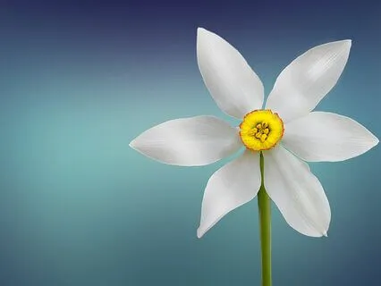 Calm The Nervous System Using Positive Self-Talk (No Music)