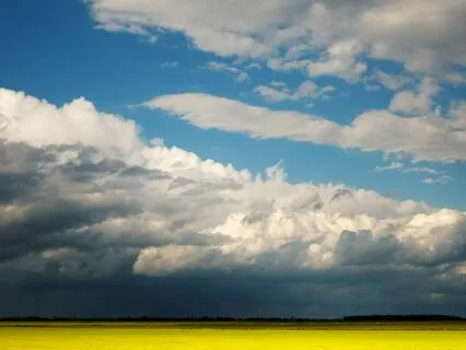 Calm The Storm Of Stress: Visualization For Resilience