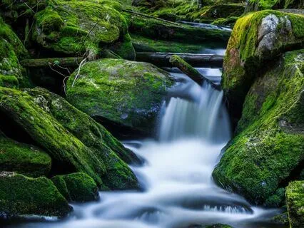 Calm Through Letting Go In A Moment