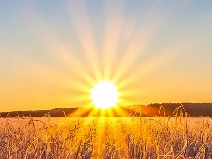 Calm To Start The Day