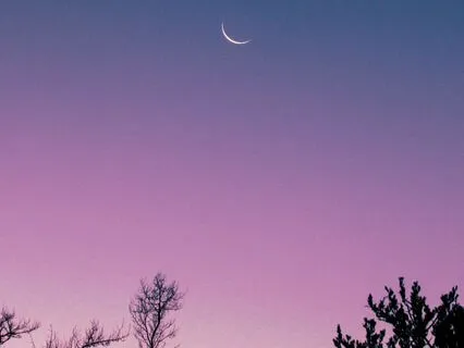 Calm Until the Morning