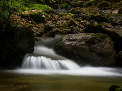 Calm Versus COVID-19