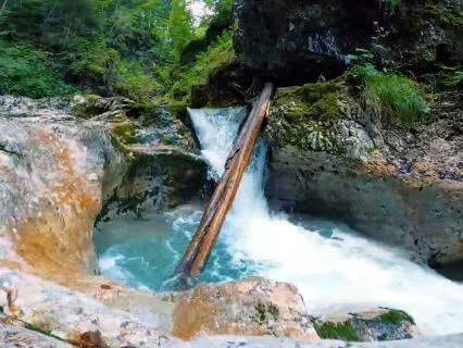 Calm Water Stream (ASMR)