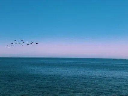 Calm Waters Drone Relaxing Meditation Music