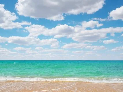 Calm Wave: Anxiety Release Music