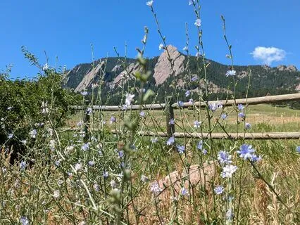 Calm Waves: A 10-Minute Breathing Journey For Teens