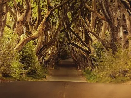 Calm Within Anxiety Relief Music Meditation